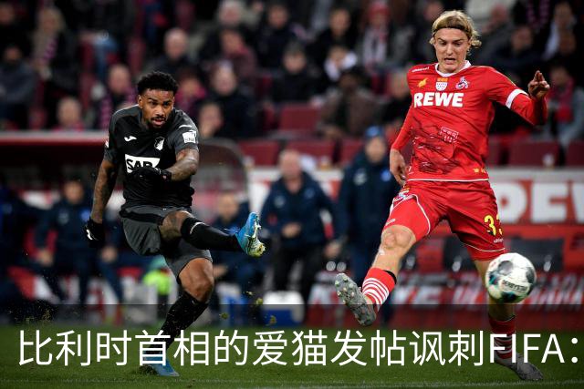 比利时首相的爱猫发帖讽刺FIFA：“红牌？”我照样继续踢！